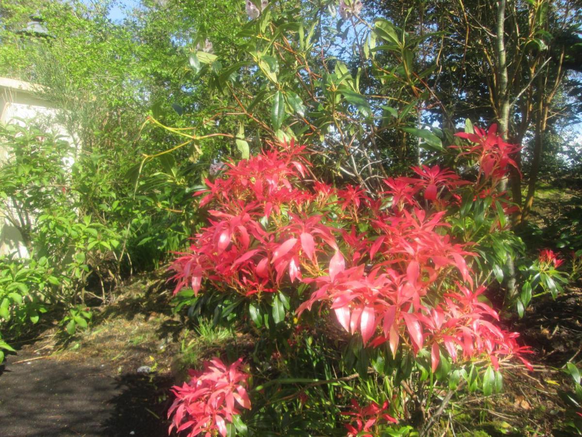 Ard Na Greine Bed & Breakfast Ballylickey Eksteriør bilde