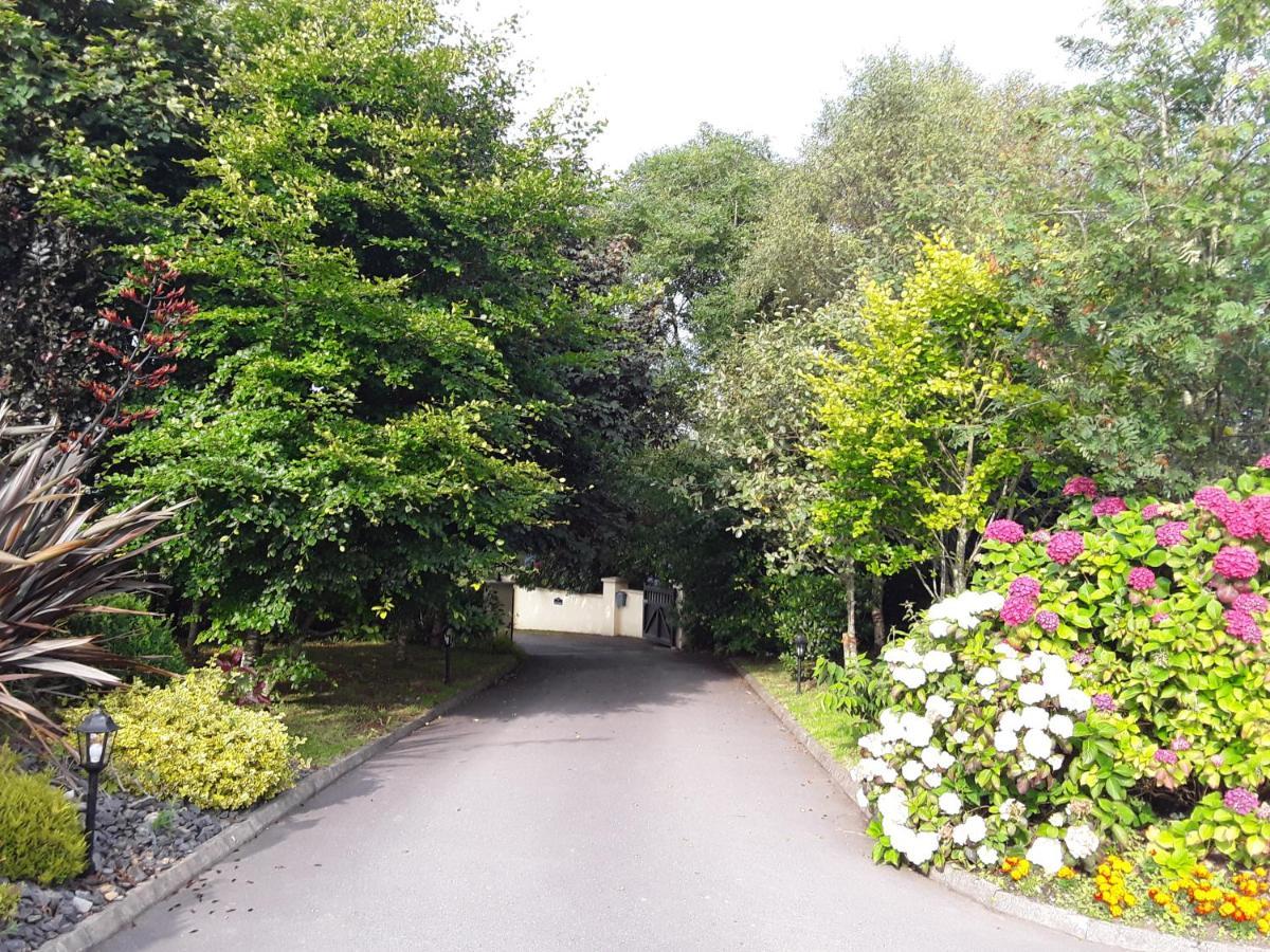 Ard Na Greine Bed & Breakfast Ballylickey Eksteriør bilde